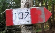 14 Occhio alle indicazioni...
